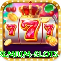 222t Premium Slots