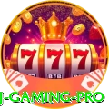 22aj - Gaming Pro